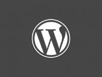 WordPress Training & Consulting - WP.Training image 2
